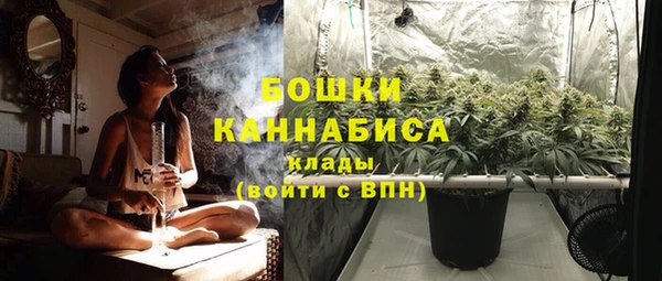 гидра Зеленодольск